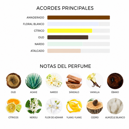 MARFA OUD