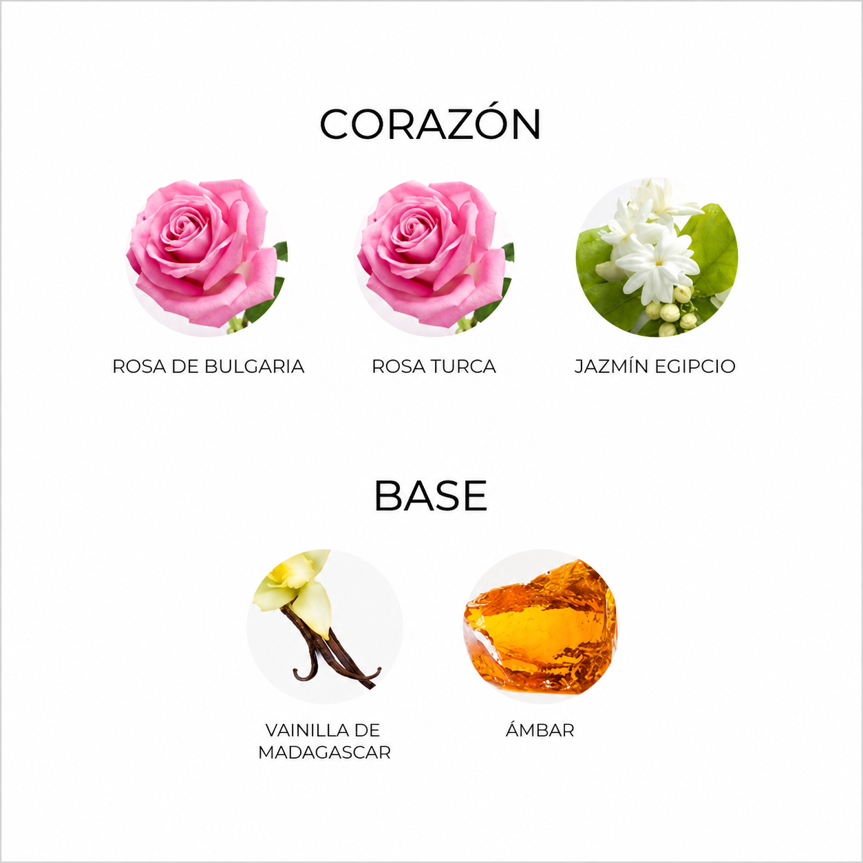 ATOMIC ROSE