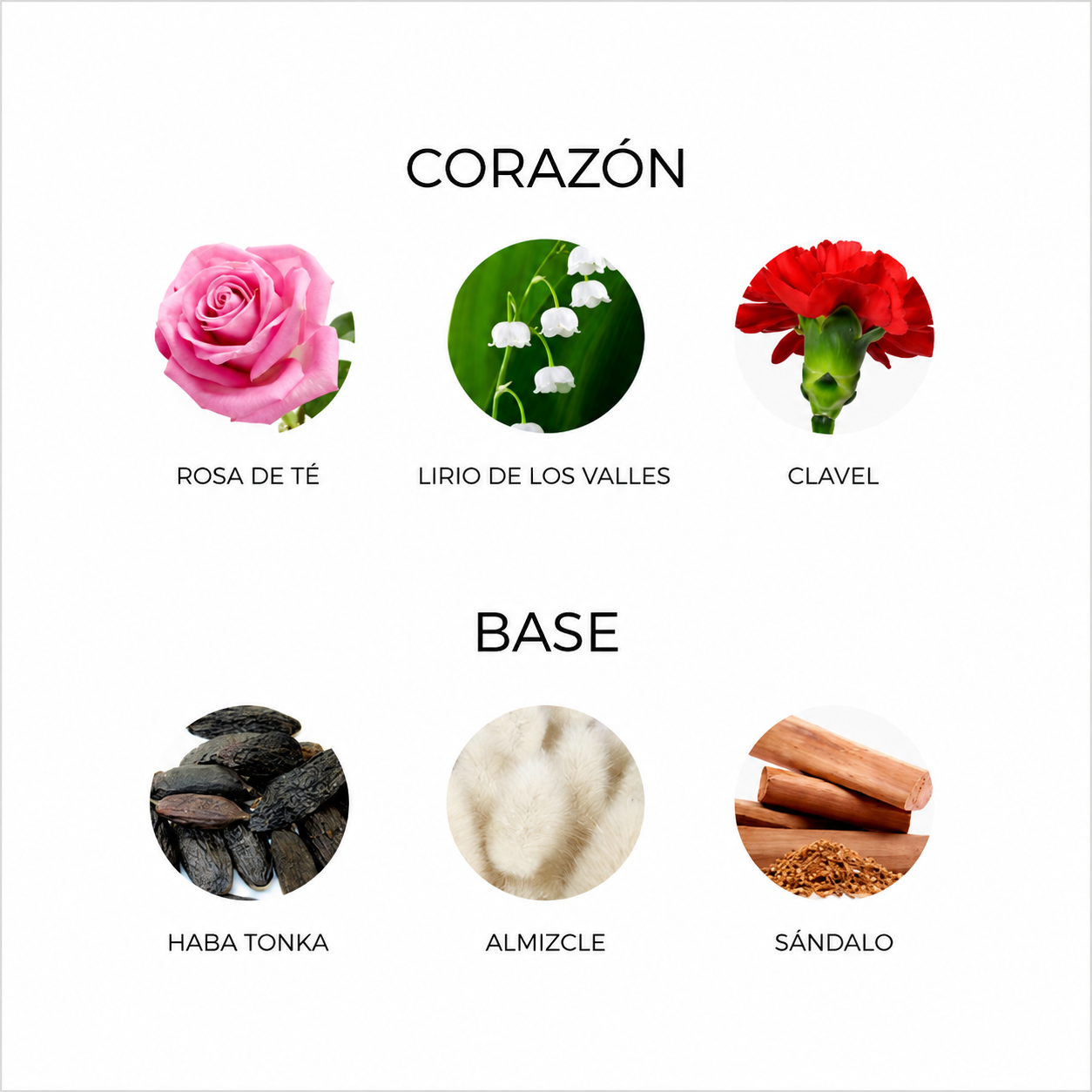 CASSIOPEA
