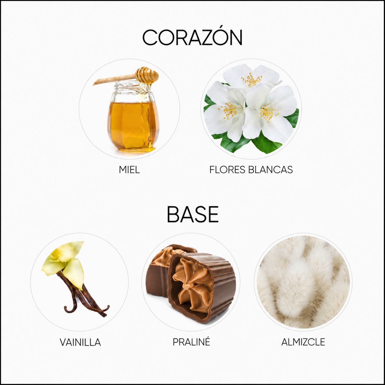 ECLAIRE - BIANCO LATTE