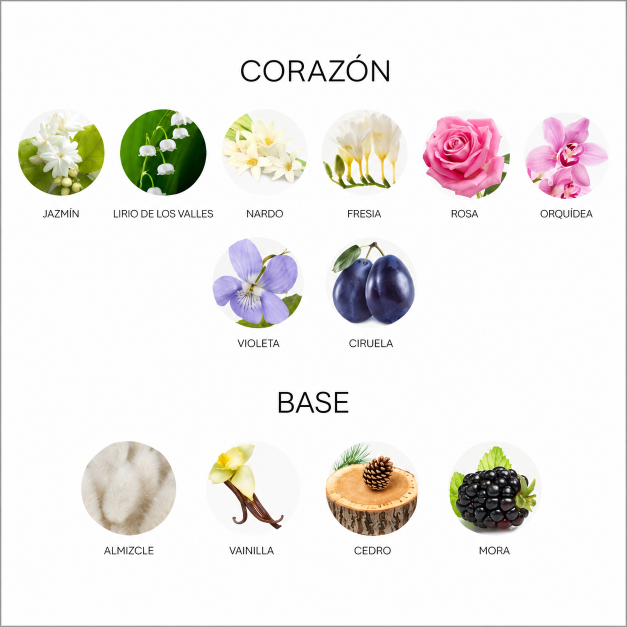 J'ADORE EDP