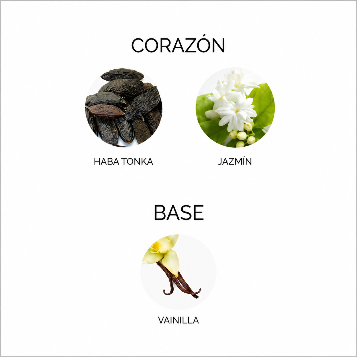 LA BELLE LE PARFUM