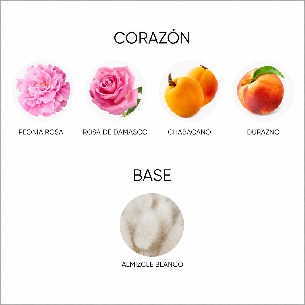 MISS DIOR BLOOMING BOUQUET